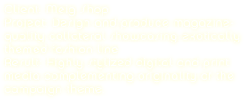 Client: Meig Shop
Project: Design and produce magazine-quality collateral showcasing exotically themed fashion line
Result: Highly stylized digital and print media complementing originality of the campaign theme.