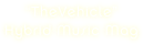 “TheVehicle” 
Hybrid Music Mag