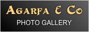 
Agarfa & Co 
PHOTO GALLERY